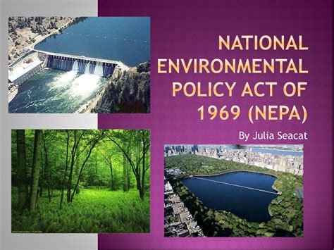 lod nepal|nepa act of 1969.